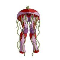 /album/cavaleiros-fantasmas/armadura-de-medusa-jpg/